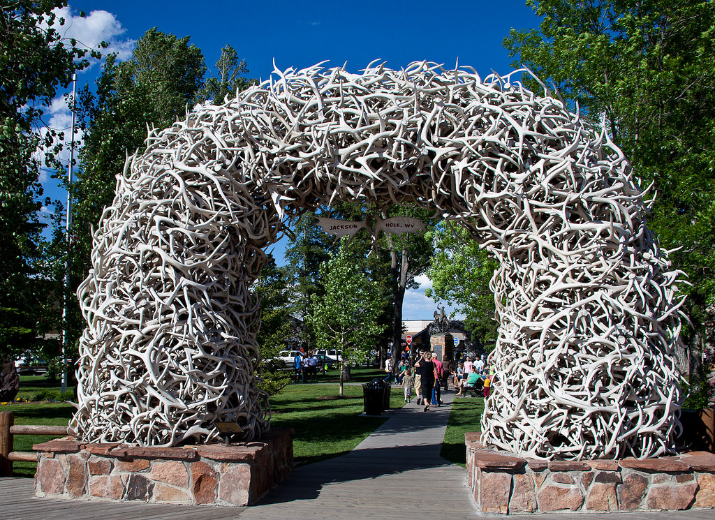 antlers arch