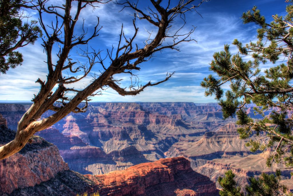 udsigt grand canyon