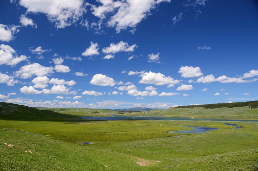 Hayden Valley