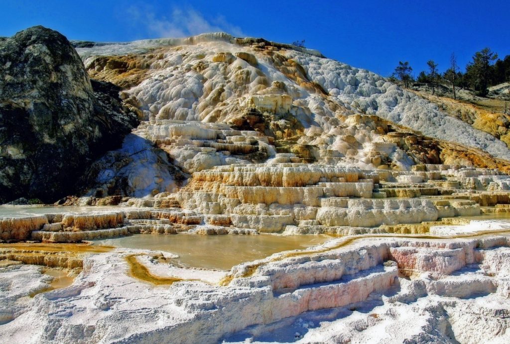 Mammoth hot springs