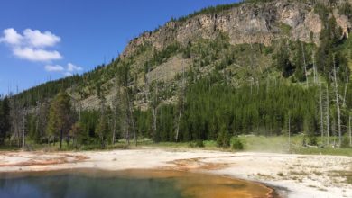 yellowstone