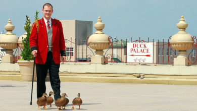 peabody duckmaster