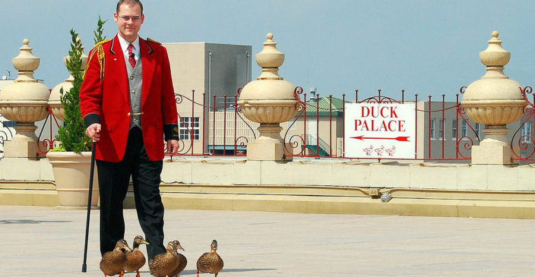 peabody duckmaster