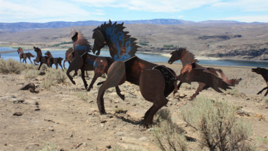 wild horses monument
