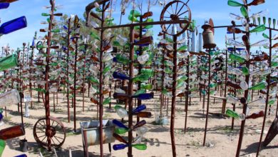 glass bottle tree ranch