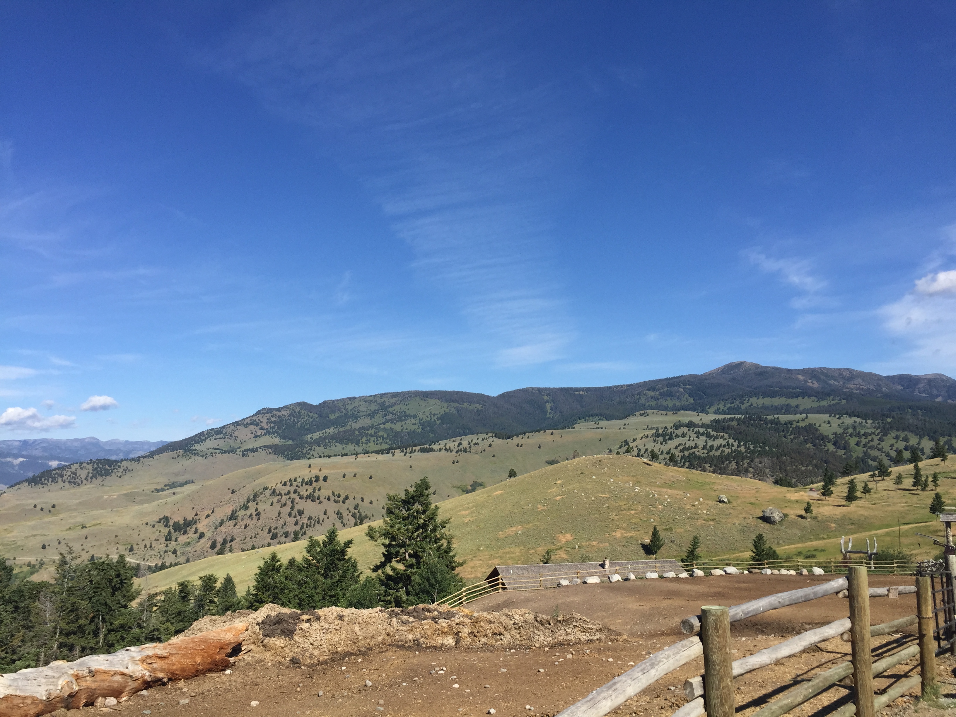 montana