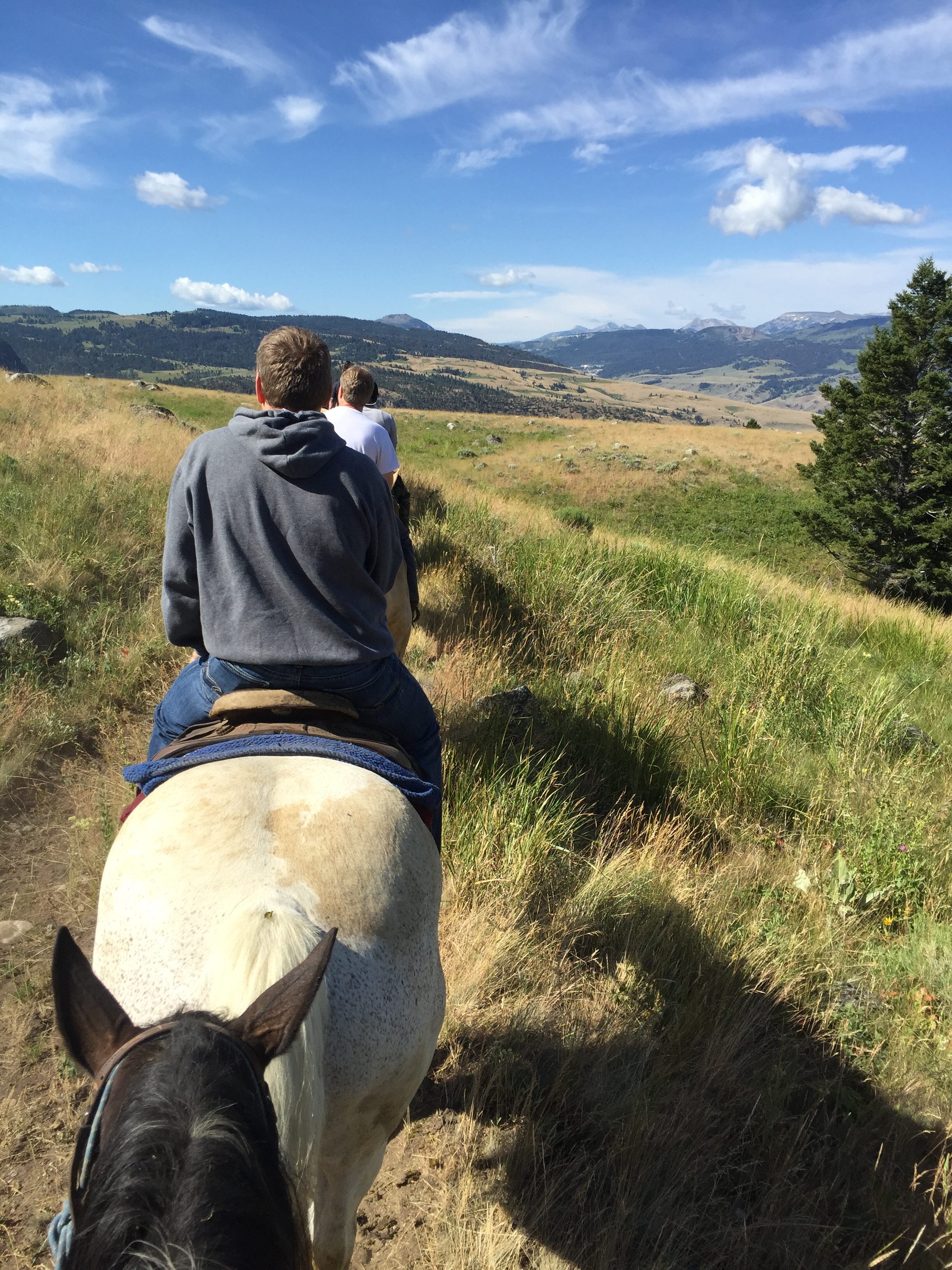 ridning montana