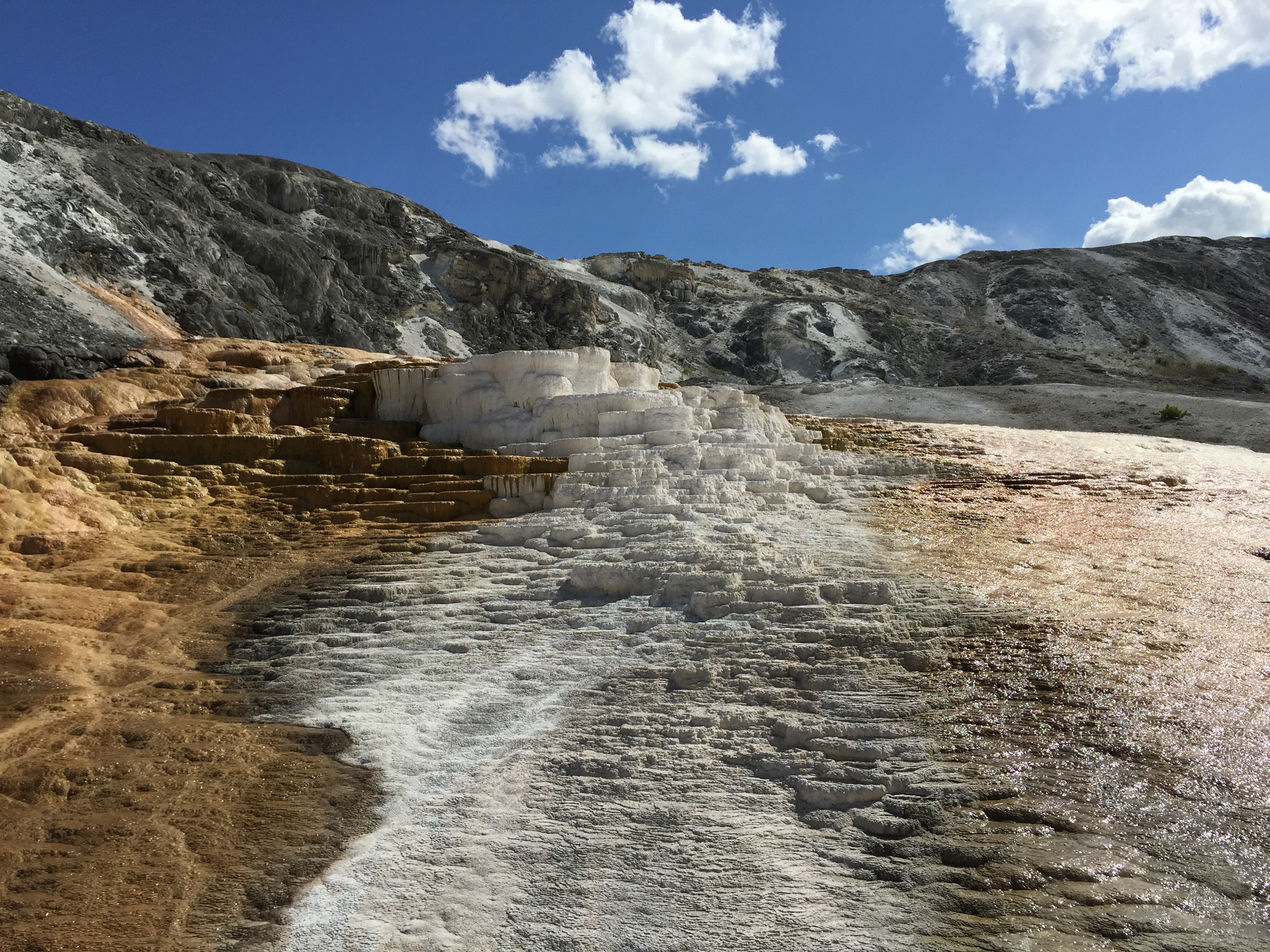 mammoth hot springs