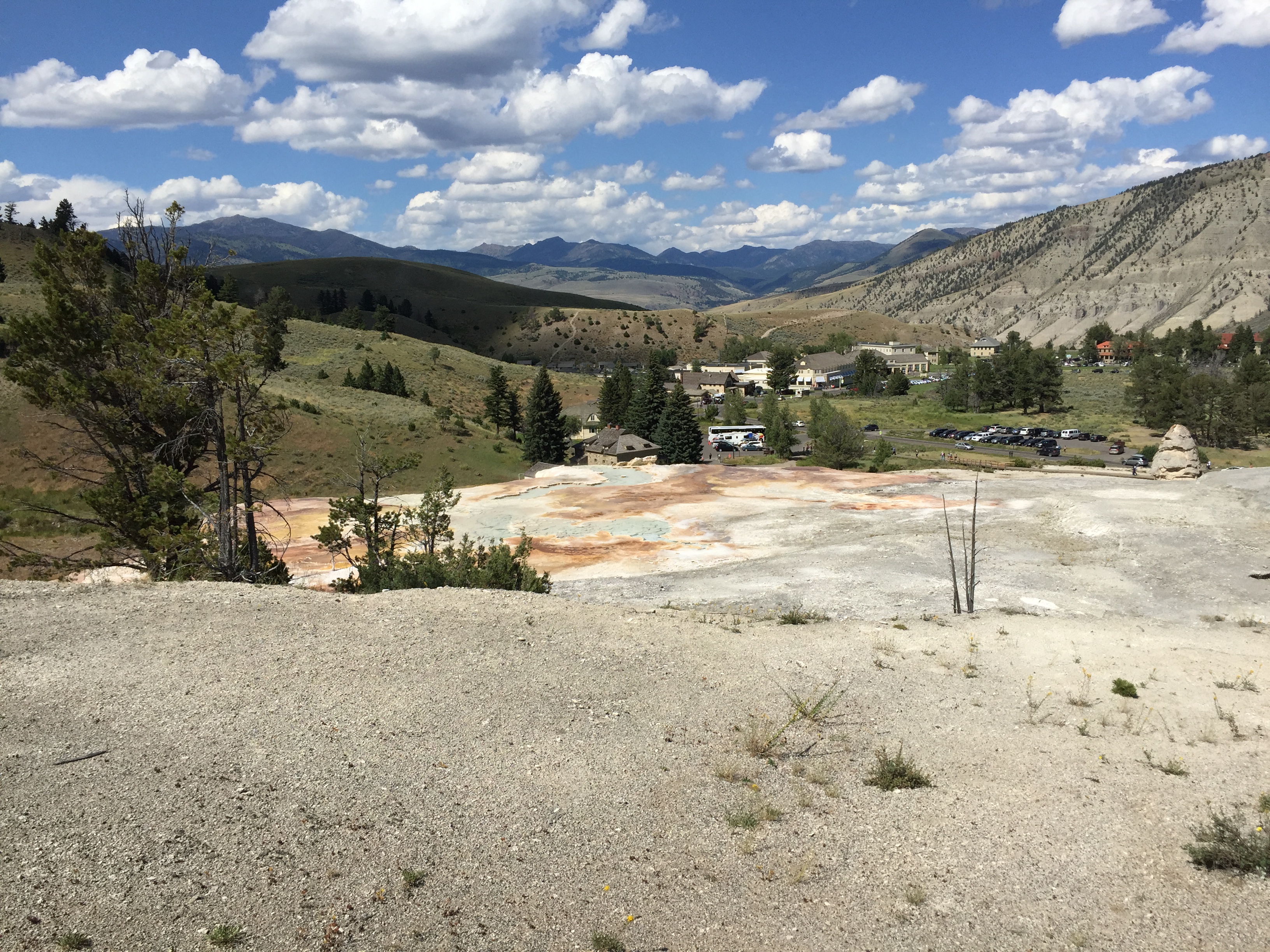 montana