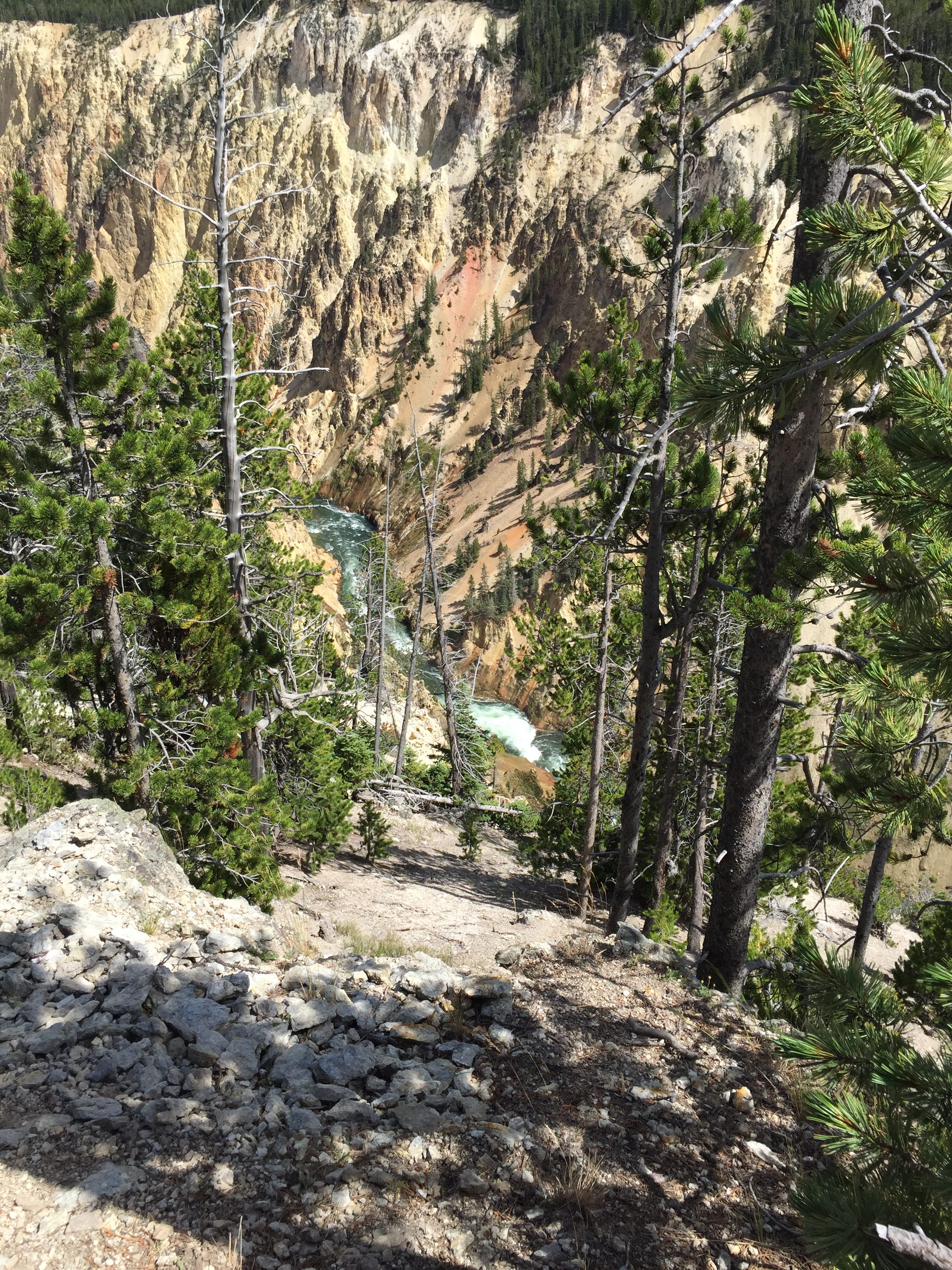 grand canyon of the yellowstone