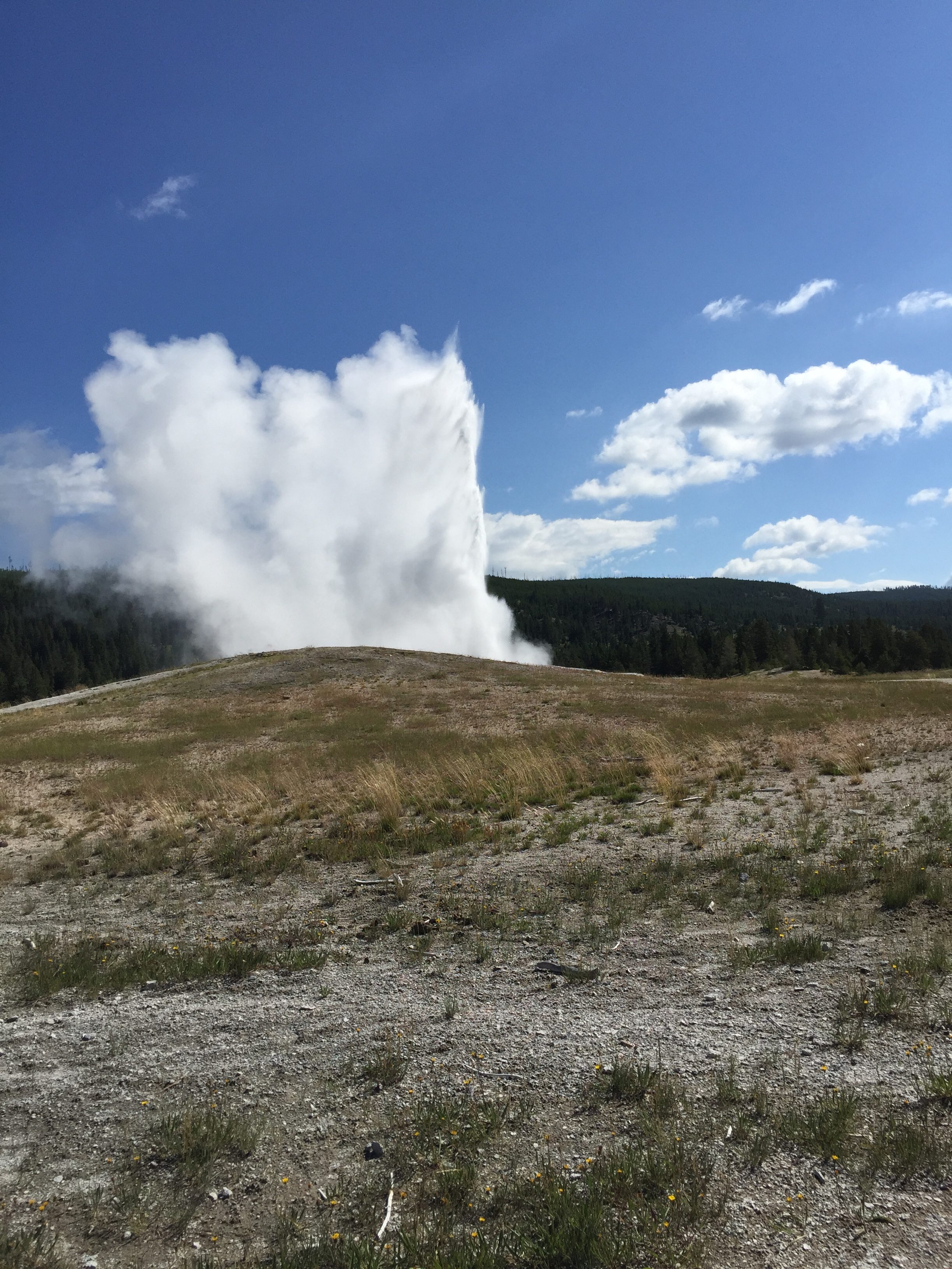 old faithful