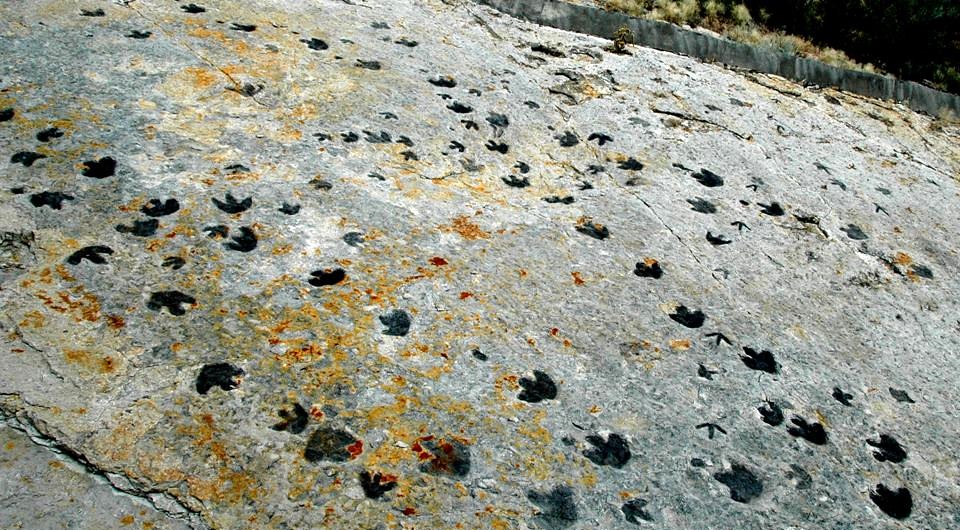 dinosaur ridge
