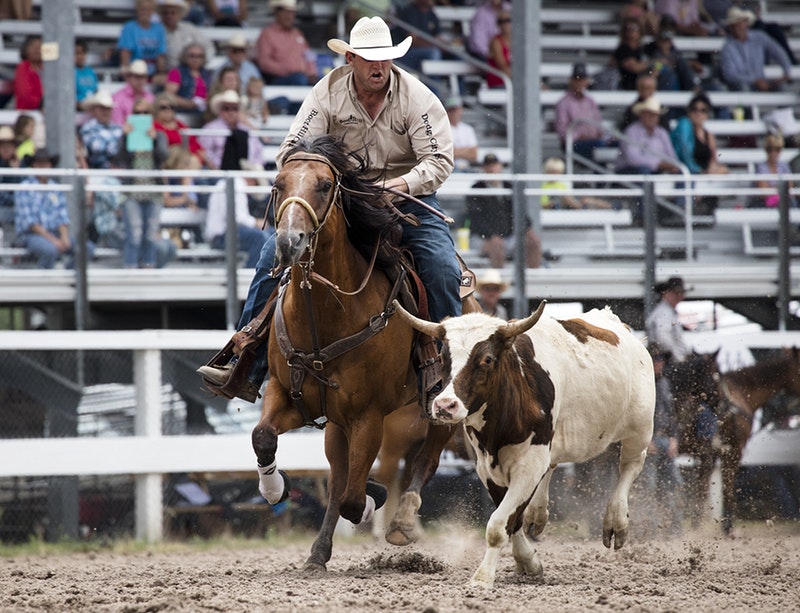 rodeo